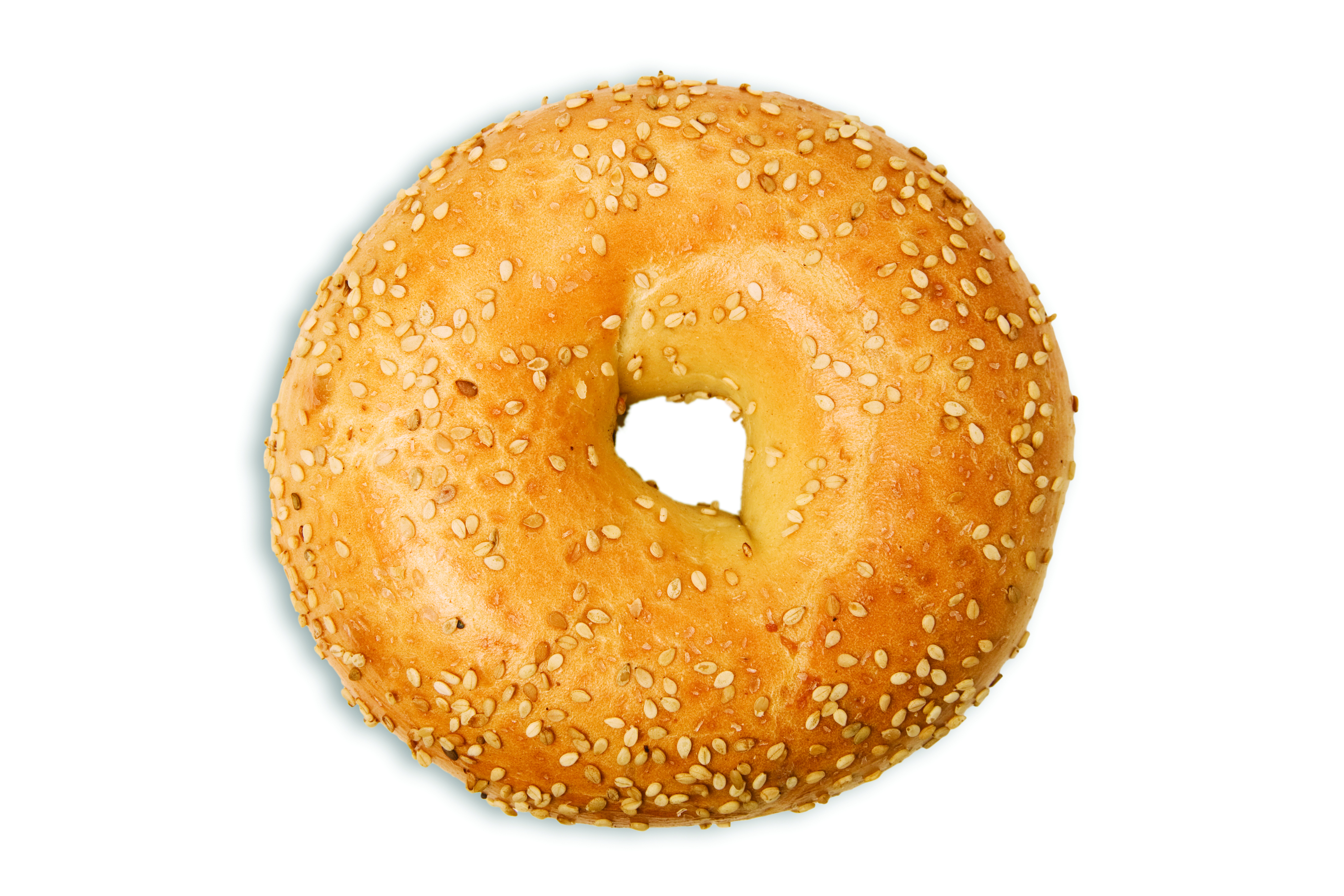 Illustration: bagel